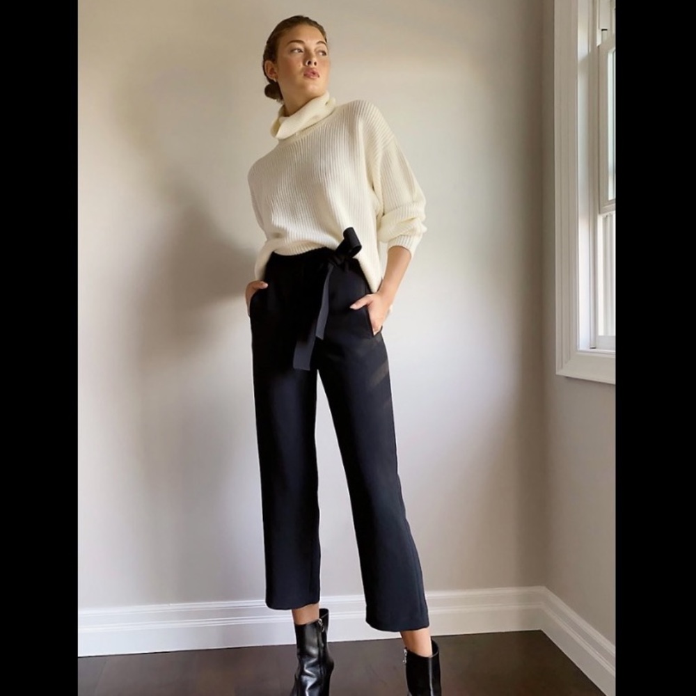 Aritzia Wilfred New Tie Front Pant